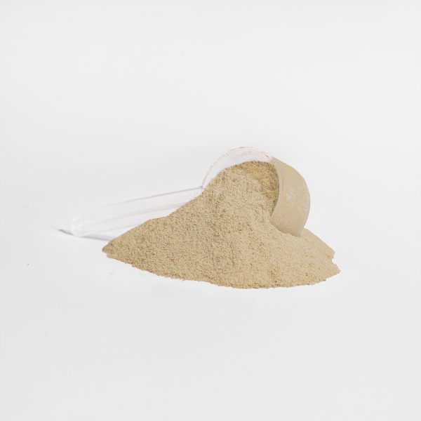 Plant Protein (Vanilla) - Image 2