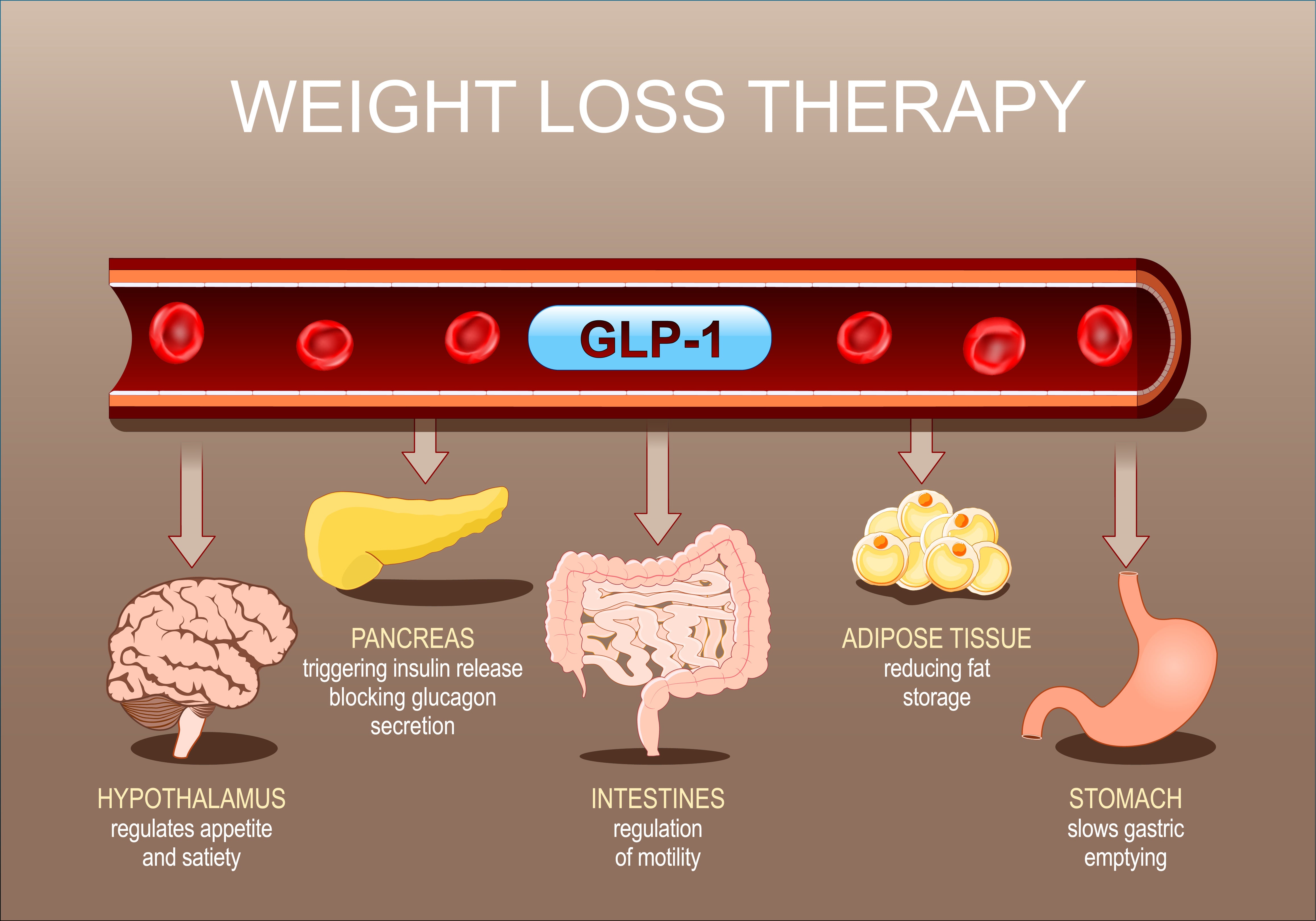 Satiety Hormones and GLP-1