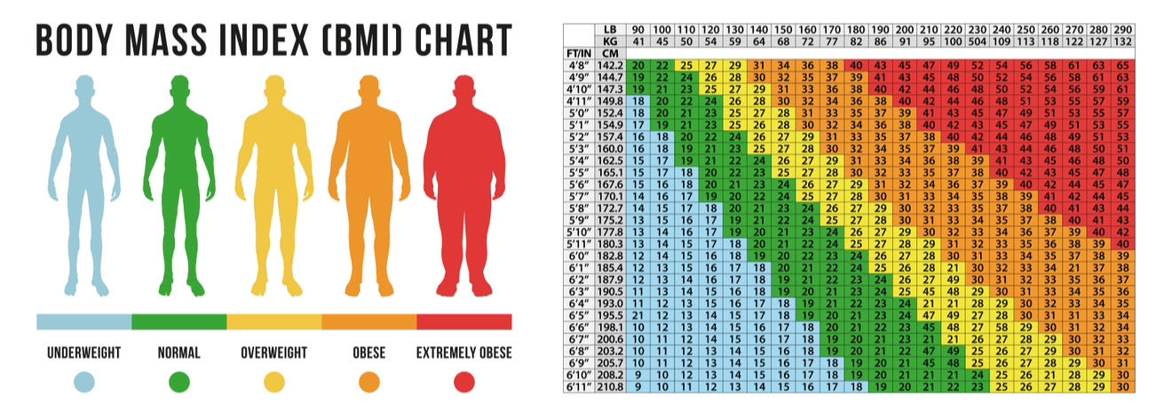 Zepbound, Rybelsus, Metformin, Contrave, Tirzepatide, Mounjaro, GLP-1 medications, Body Good Studio