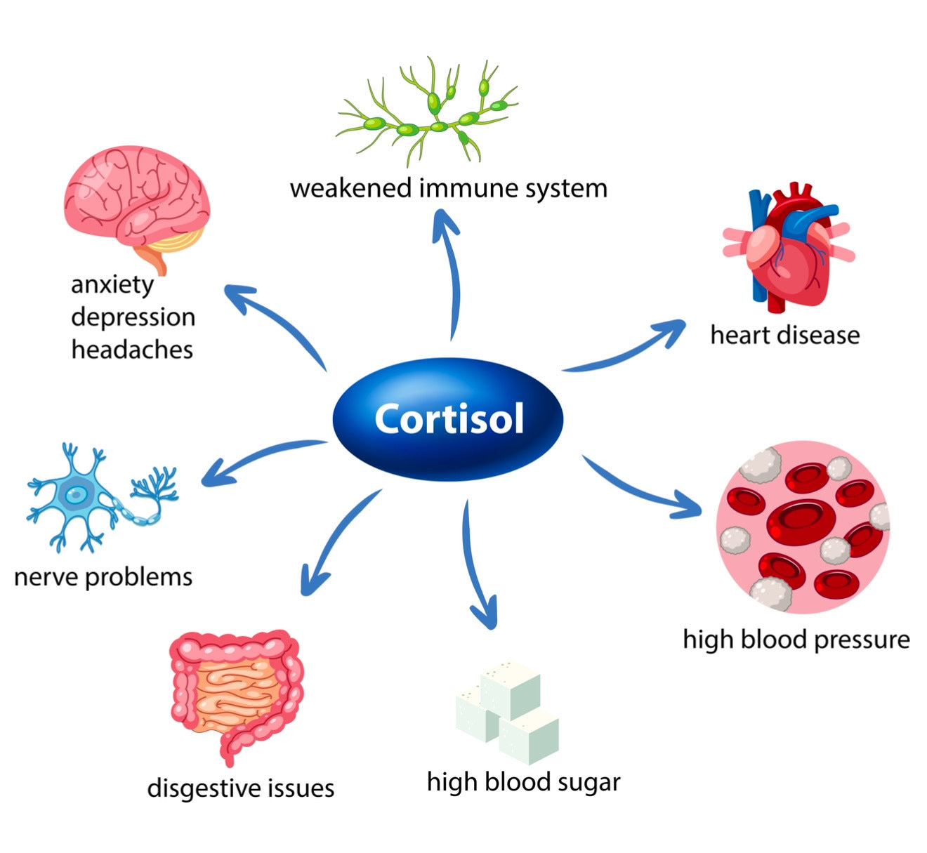 Zepbound, Rybelsus, Metformin, Contrave, Tirzepatide, Mounjaro, GLP-1 medications, Body Good Studio